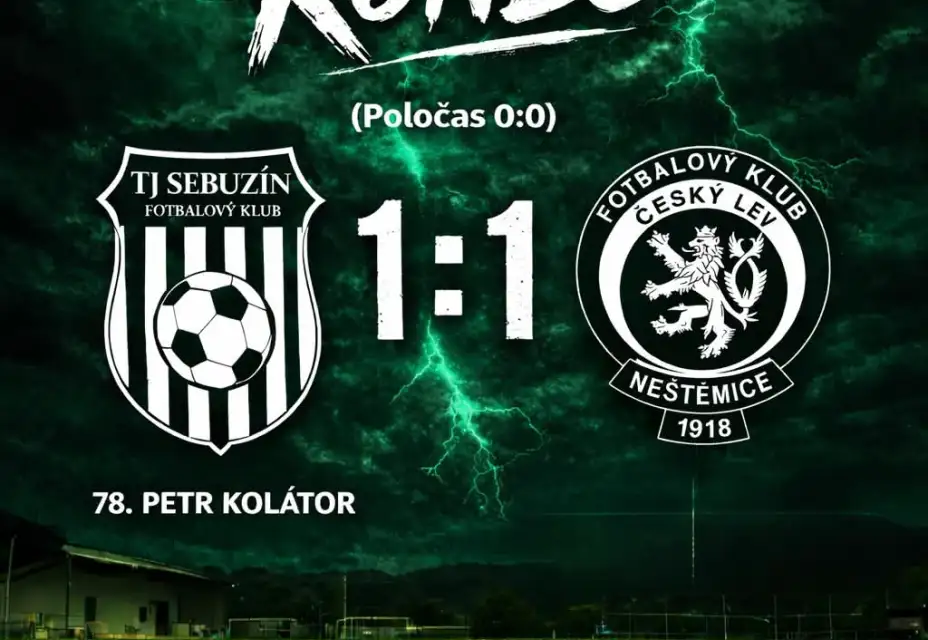 Domácí Remíza