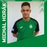 Michal Horák