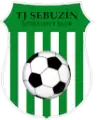 TJ Sebuzín